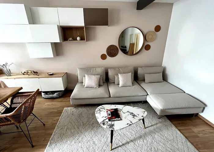 Cosy, Proche Centre-ville Et Gare Colmar